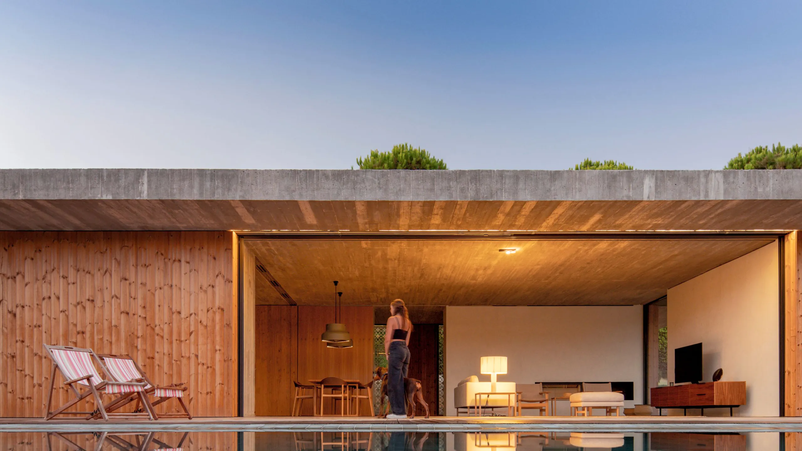 Low timber pavilion set within coastal woodland