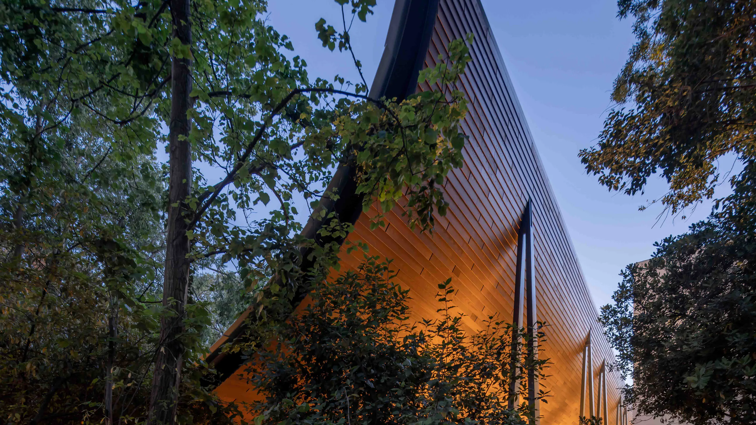CAM – Centro de Arte Moderna Gulbenkian - architectural view 3
